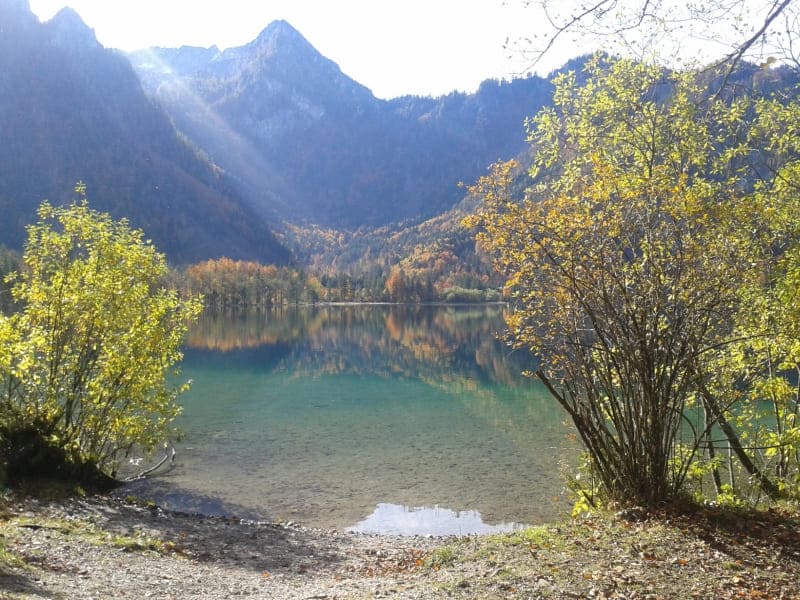 Blick auf wunderschönen klaren Bergsee, umrandet von Sträuchern, Gebirge im Hintergrund